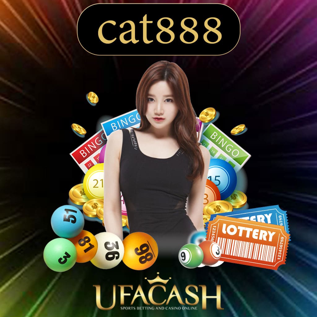 cat888